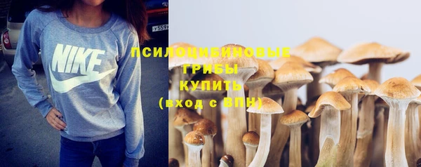 ешки Алексеевка