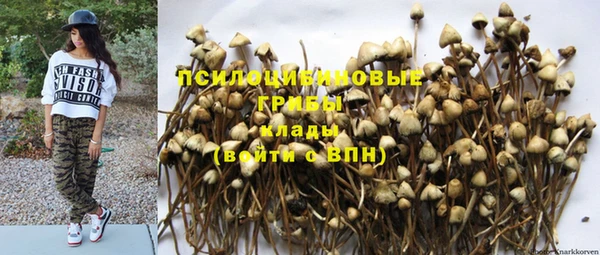 ешки Алексеевка